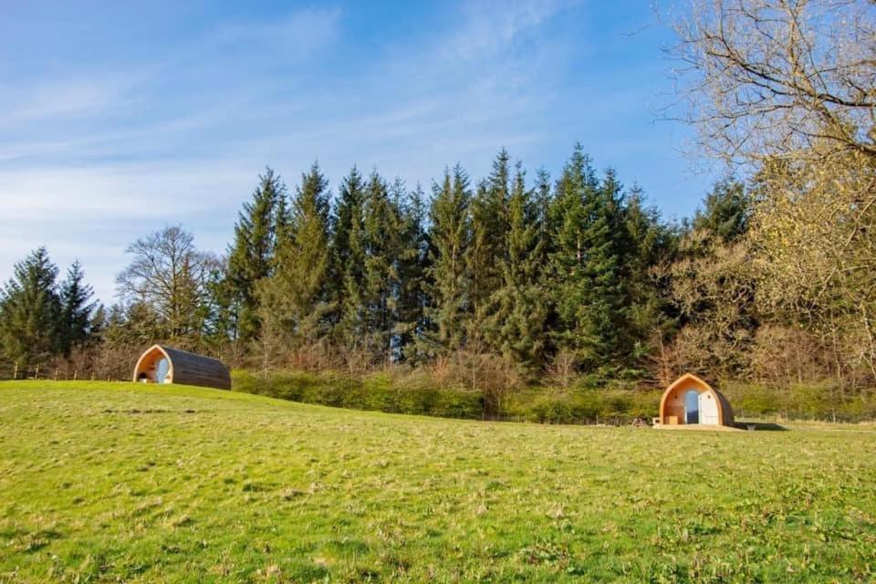 Luxury Rural Ayrshire Glamping Pod Otel Dalmellington Dış mekan fotoğraf