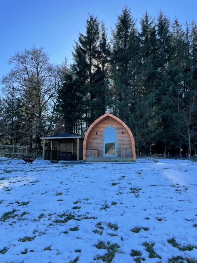 Luxury Rural Ayrshire Glamping Pod Otel Dalmellington Dış mekan fotoğraf